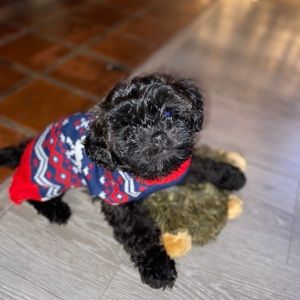 Meet your Posher, Markita